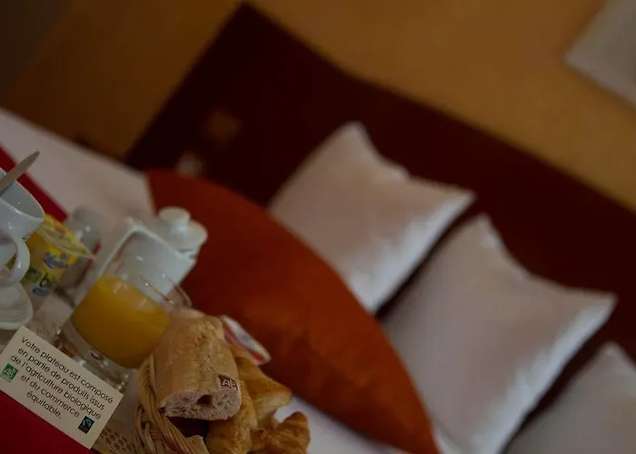 酒店 尚巴尼酒店 昂热